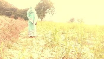 سکسک من جدم