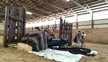 ebony mystique femdom