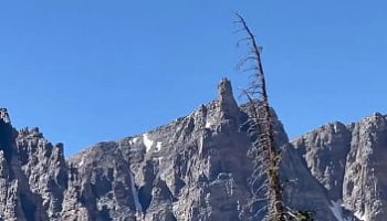 mature interracial missionary