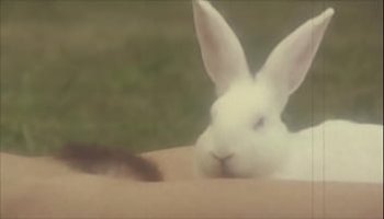 clementine sex videos