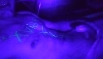 abriana labarbra blowjob