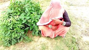 সানিলিওন এক্স ভিদিও