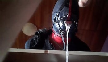 beeg xvideos
