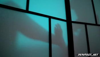 كلام فى الجنس