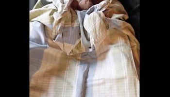 brooke lee adams sloppy blowjob