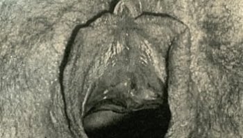 cuckold fetish reddit