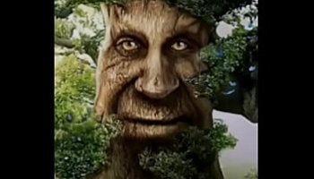 vídeos porno de jóvenes