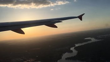 japanese jungle porn