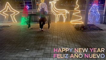 indian sexy video indian