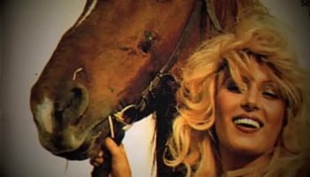 yorkshire porn stars