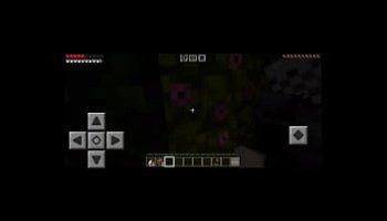 jezzare lesbian porn