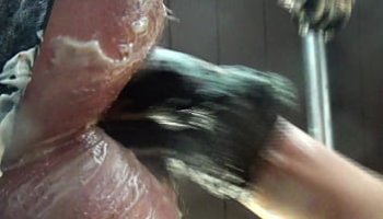 porn free compilation