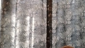 beans maturity period