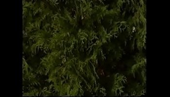 katie mcglynn nude