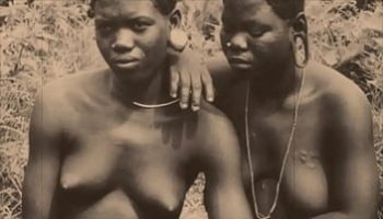 porn parodies cartoon