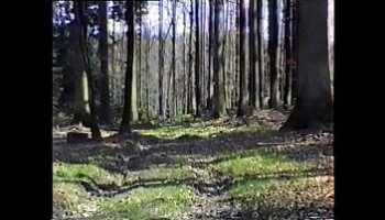 bondage face farting