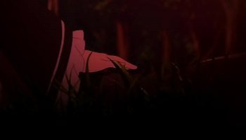 neighborhood hd porn