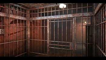 ممرضة الدقهلية