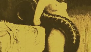 amanda siegfried blowjob