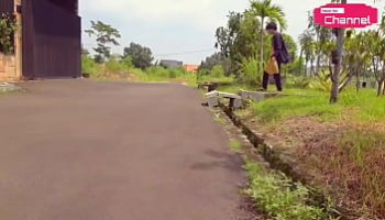 africian lesbian porn