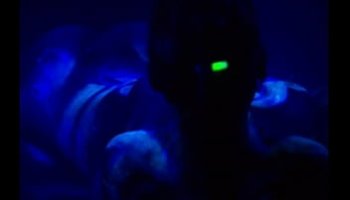 lesbian christmas porn