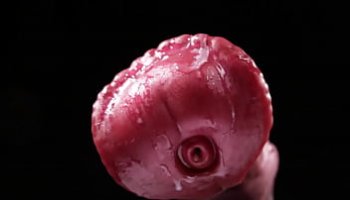 اصوات بنات بتقول الو