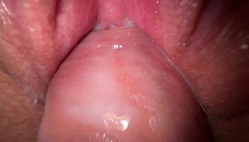 www tamil hd video songs download