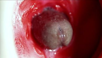 desi bhabhi xxx videos