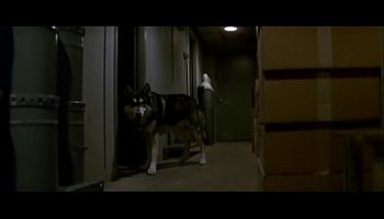 movie star sex videos