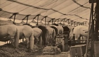 افلام جديد عربى