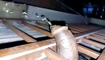 em gái tự sướng trong phòng