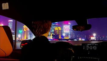 shemale escort fucks client