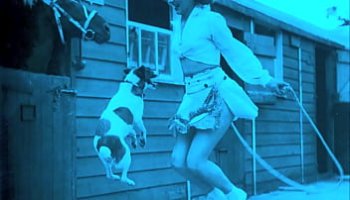 x विडियो