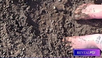 highschool dxd irina