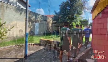 sexy video in animal