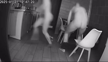 porn free porn video