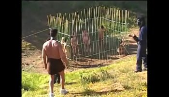 porn download mp4 free