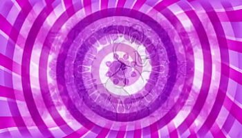 american erotic video