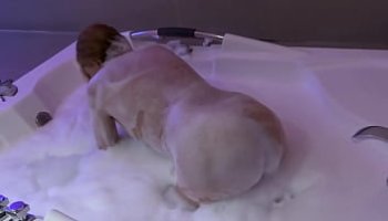 tante ich will dich ficken