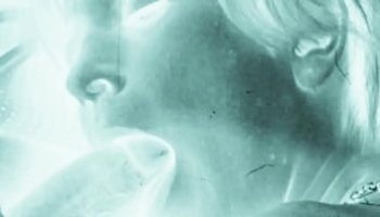 گاییدن وحشی