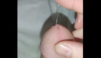 fucking the scrunchy lickalikes