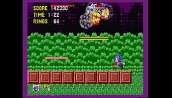 النيك البلدى