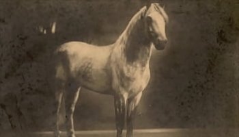 ass to throat facialabuse