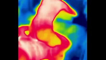 big ass convertibles