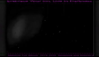 free interractive porn